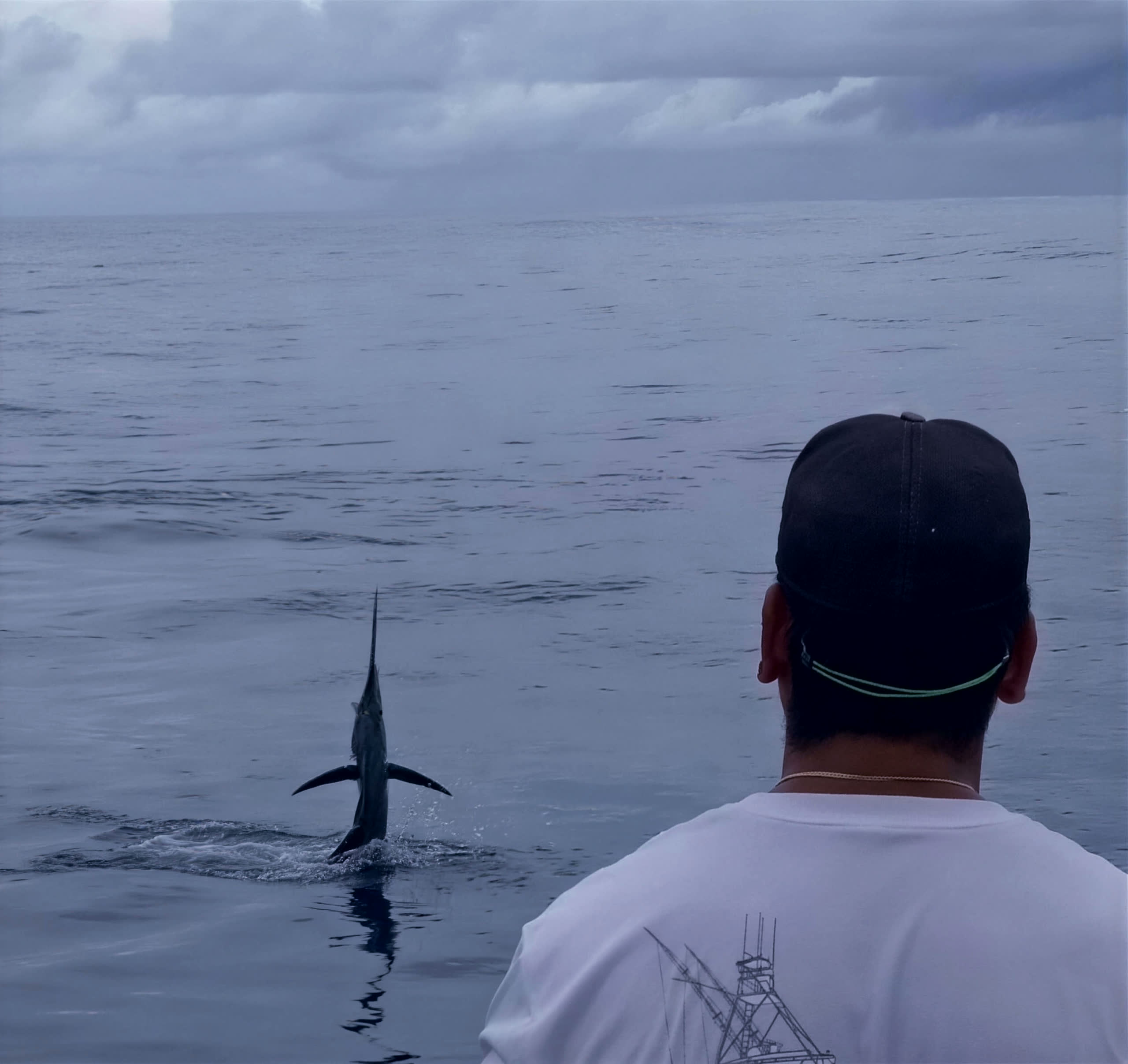 A sailfish tail-walking a boat-length off the stern